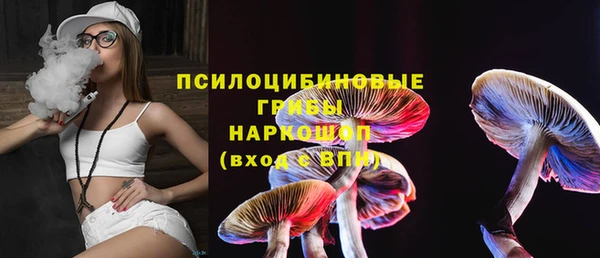 синтетический гашиш Заводоуковск