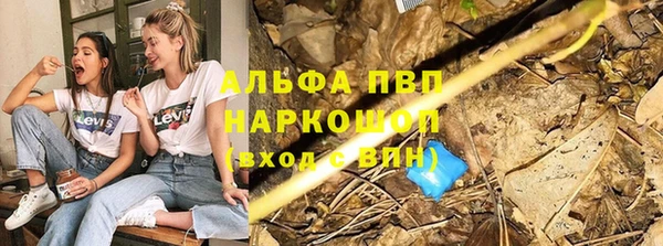 прущий лед Ельня