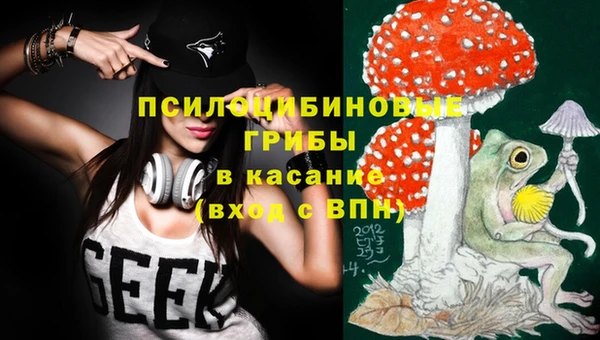 мдпв Заволжье