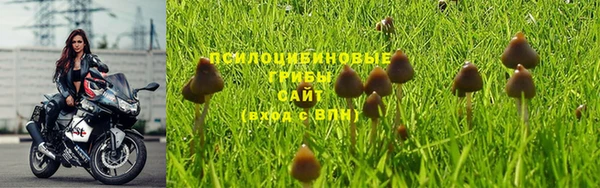 мдпв Заволжье