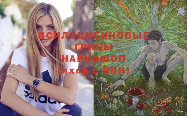 синтетический гашиш Заводоуковск