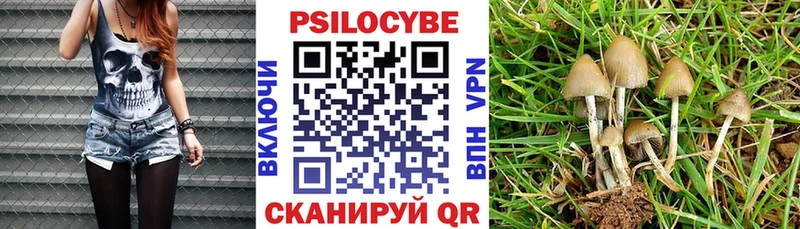 Псилоцибиновые грибы Magic Shrooms Юрга