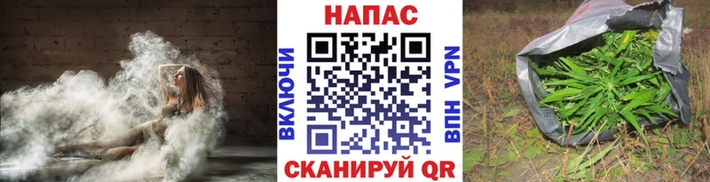 Конопля Bruce Banner  Юрга 